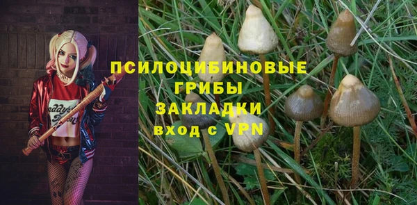 соль ск Балахна