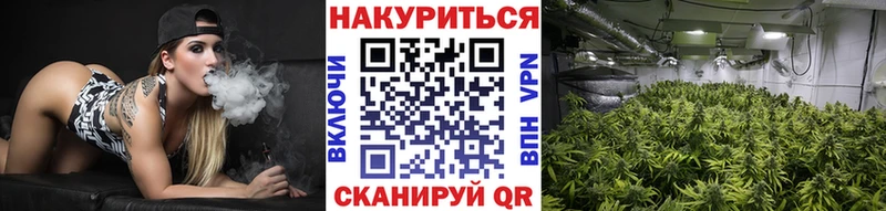 Бошки Шишки план  Гай 